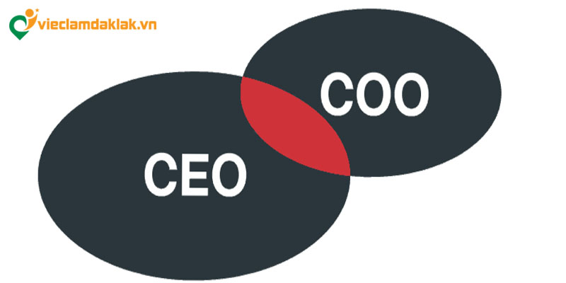 Phân biệt COO và CEO