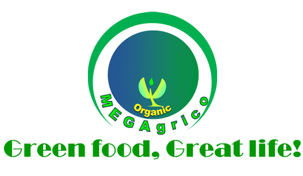 Chi Nhánh Công ty Megagrico Việt Nam